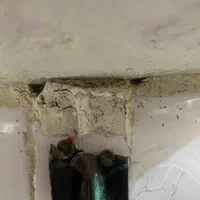 سمپاشی ساس سوسک منازل تضمینی بامجوز بهداشت وضمانت|خدمات نظافت|ماهدشت, |دیوار