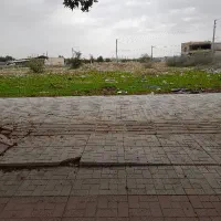 زمین ورجان کهک قم