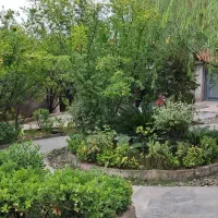 اجاره روزانه سوییت ۶۲ متری در جاده سنگر|اجارهٔ کوتاه‌مدت آپارتمان و سوئیت|سنگر, |دیوار