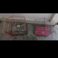 قفس پرنده|لوازم جانبی حیوانات|شیراز, گلشن|دیوار