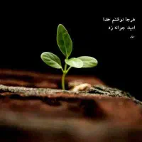 دنبال کارمیگردم خیلی فوری