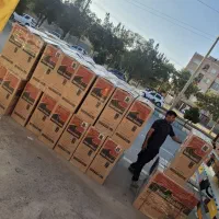 پخش بخاری 28هزار شومینه عمده وتک|بخاری، هیتر، شومینه|کرمان, |دیوار