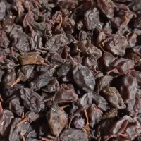 کشمش افتابی