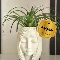 فروش گلدان های آپارتمانی شیک و ترند