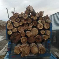 خرید انواع چوب قلمستان بیشه به صورت نقد