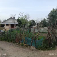 زمین مسکونی ویو ابدی|فروش زمین و ملک کلنگی|ماکلوان, |دیوار