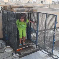 فروش قفس آهنی بزرگ،دست ساز.سفارشی.|لوازم جانبی حیوانات|شاهین‌شهر, شهرک پردیس|دیوار