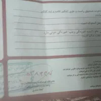 پژو 206 تیپ ۲، مدل ۱۳۹۷|خودرو سواری و وانت|تربت‌حیدریه, ۴۵ متری|دیوار