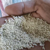 برنج فجر و دمسیاه پاییزه خوش عطر لاشه و نیمدانه|خوردنی و آشامیدنی|گنبد کاووس, |دیوار