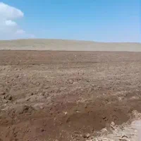 اجاره زمین کشاورزی در بویین زهرا|اجارهٔ دفتر صنعتی، کشاورزی، تجاری|بوئین زهرا, |دیوار