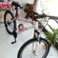 دوچرخه ویوا سایز 26|دوچرخه، اسکیت، اسکوتر|گنبد کاووس, |دیوار