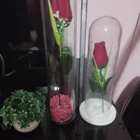 سه عدد گل و گلدان بسیار زیبا و شیک|گل مصنوعی|قزوین, |دیوار