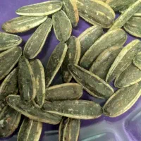 تخمه آفتابگردان بادام زمینی آستانه تخمه کدو