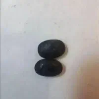 مهره اصل
