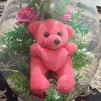 باکس شیشه ای گل وعروسک