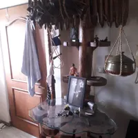 مبل و دکور درختی برای کافه|بوفه، ویترین، کنسول|رشت, کوی امام رضا|دیوار