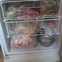 یخچال فریزر|یخچال و فریزر|فولادشهر, A1|دیوار