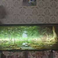 تابلو|تابلو، نقاشی، عکس|کرج, حصارک بالا|دیوار