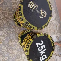 دمبل ۲۵ کیلویی|تجهیزات ورزشی|گرگان, |دیوار