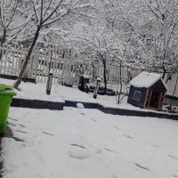 کلنگی-412-متر-سهروردی-شمالی