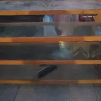 ویترین و پایه کفش|حراج|کرمان, |دیوار