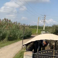 210متر-دو-نبش-سند-تک-برگ-100درصد-مسکونی