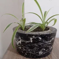 گل گندمی همراه گلدان|گل و گیاه طبیعی|پیرانشهر, |دیوار