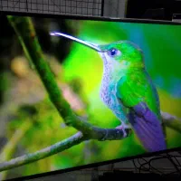 ال ای دی ۵۰ سام اسمارت