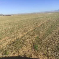 6هکتارزمین جهت اجاره اب تحویل منطقه کوشکزر