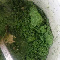 سبزی قورمه سبزی انواع شیره خرما انگور 3شیره|خوردنی و آشامیدنی|نیشابور, شهید بهشتی|دیوار