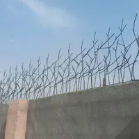 حفاظ روی دیوار|خدمات پیشه و مهارت|مشهد, الهیه|دیوار