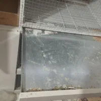 قفس pvc|لوازم جانبی حیوانات|سراوان, |دیوار