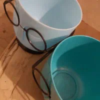 گلدون سفید، انواع کودهای گلهای آپارتمان، درختان|گل و گیاه طبیعی|پرند, فاز ۶|دیوار