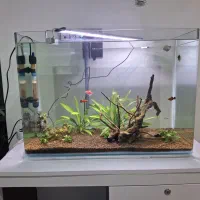 فروش آکواریوم شیک و تمیز