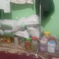 گیاه|گل و گیاه طبیعی|پاتاوه, |دیوار