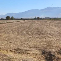 فروش زمین کشاورزی