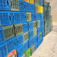 سبد پرتقال ونارنگی|حراج|ساری, |دیوار