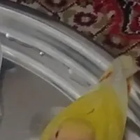 طلامون گم شده دربه در دنبالشم
