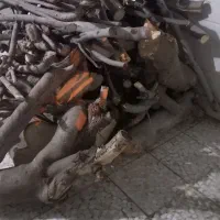 خریدار چوب انجیر  کیلویی۱۰هزار|خدمات باغبانی و درختکاری|خرم‌آباد, |دیوار