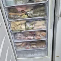 یخچال دوقلو