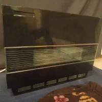 بخاری سالم و سلامت