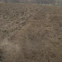 خدمات کشاورزی با تراکتور باغی|خدمات باغبانی و درختکاری|ارومیه, |دیوار