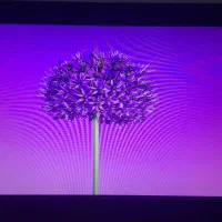 مانیتور|تلویزیون و پروژکتور|رشت, کوی مهر|دیوار