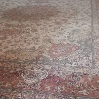 فرش نه متری، سالم وتمیز|فرش|رشت, انصاری|دیوار