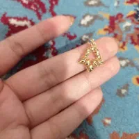 پلاک طلا