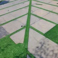 نصب وفروش چمن مصنوعی|گل مصنوعی|ماهدشت, |دیوار