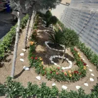 خدمات باغبانی و گل کار در تمام نقاط تهران