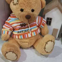 عروسک|اسباب‌بازی بچه|کرج, فاز ۳ گوهردشت|دیوار