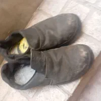 کفش ایمنی