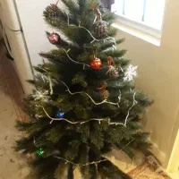 درخت کریسمس